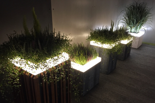 Valaistut kukkaruukut